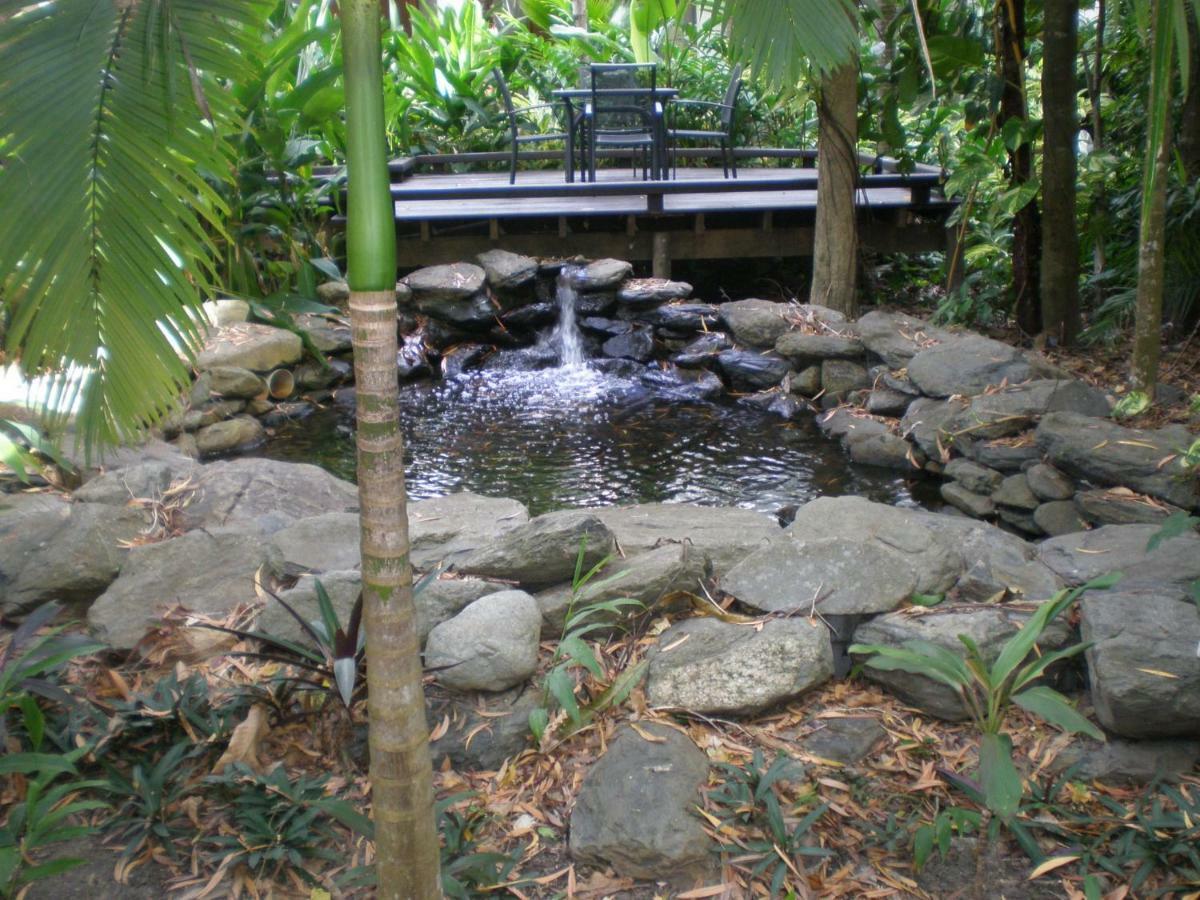 Hidden Gem @ Palm Cove Apartman Kültér fotó